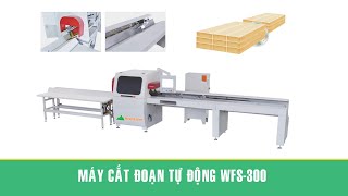 Máy cắt đoạn tự động WFS-300 Woodmaster