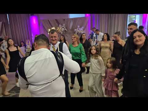 Orkestar Darka Antića - Lavovi " Zlatobor