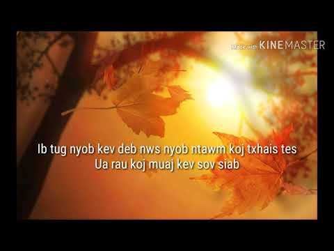 Daim Nplooj Ntoos - SuddenRush (lyric)