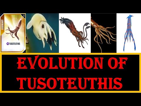 evolution of tusoteuthis