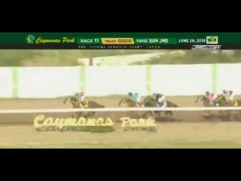 Supreme Soul (JAM) - 2019 Jamaica Derby