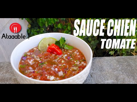 Sauce chien Tomate