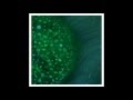 Radiohead - Spectre 