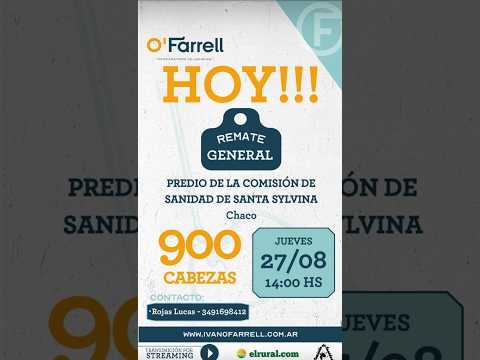 REMATE GENERAL PREDIO DE LA COMISIÓN DE SANIDAD DE SANTA SYLVINA - CHACO