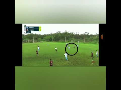 DVD - Pedro Felipe Farias Vieira - Clube Napoli FC - Competição Super Campeonato Holaria - 2022