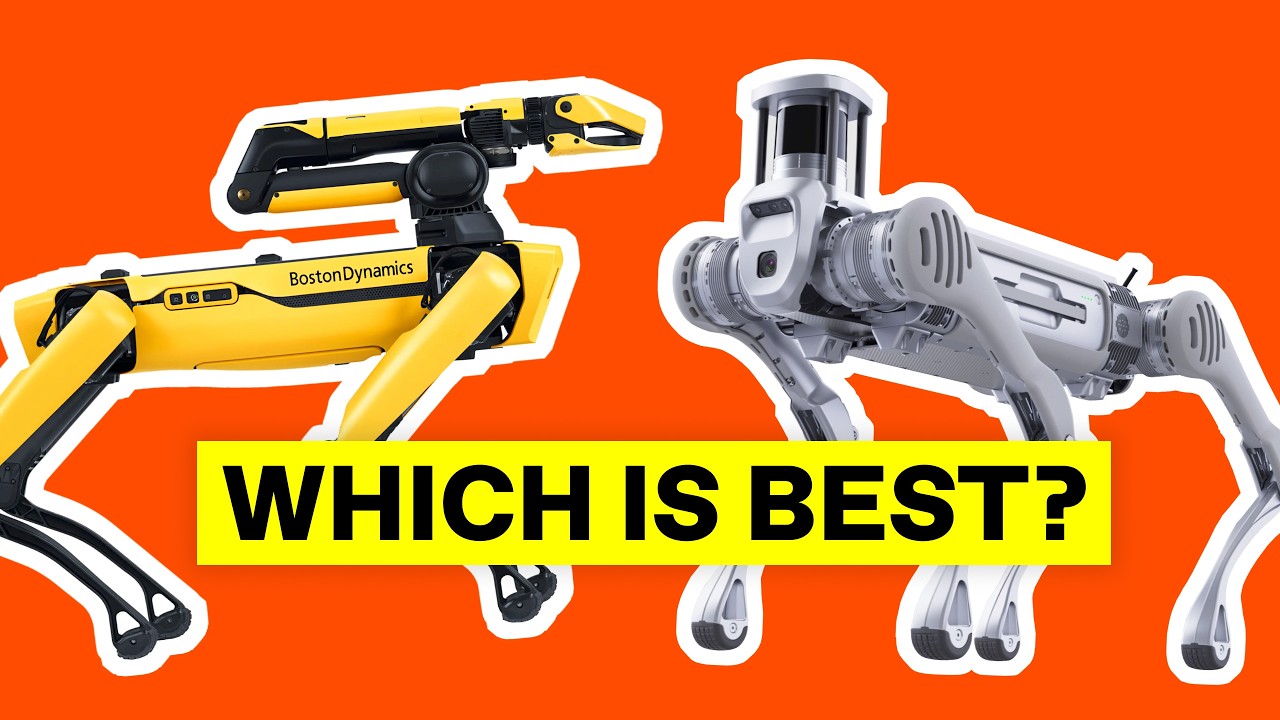 Robot Dog Obstacle Course