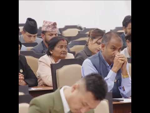 उर्जाका समस्या तत्काल निराकरण गर्न सरकारसङ्ग ई शाहको आग्रह 