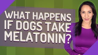 What happens if dogs take melatonin
