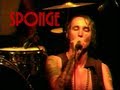 SPONGE "The Man" Live at Greene Street Club (Multi Camera) 2005