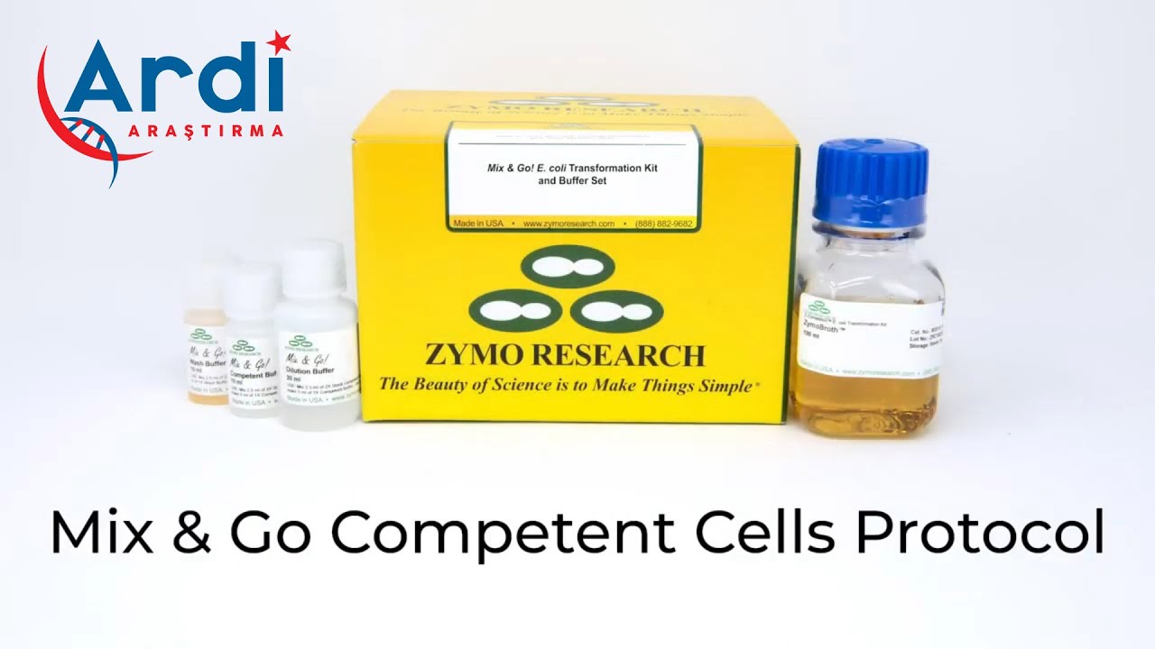 Mix & Go Competent Cells Protokol