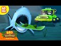 CHASED BY BABY SHARK 1 HOUR Ocean Animals Leo The Wildlife Ranger Kids Cartoons