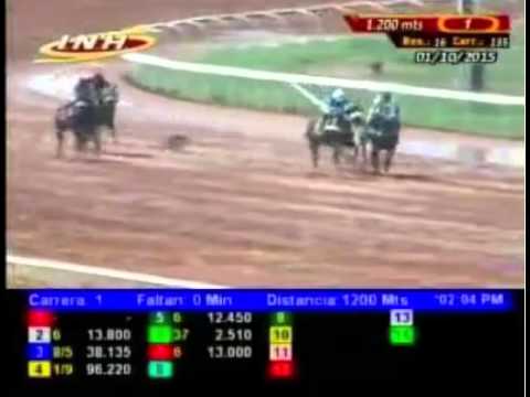 SANTA RITA 1 CARRERA, JUEVES 1 DE OCTUBRE DEL 2015