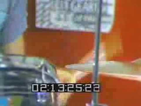 The Alley Cats "Today"