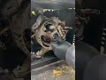 How to repair your generator