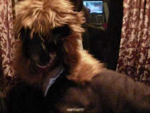 MPH VBT 09 16tel finale vs Schimmliger Käse