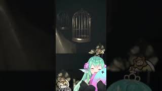Finana & Luca Camera Jumpscare