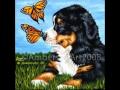 Heart - Dog and Butterfly