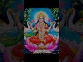 Kripa Karo Maa Lakshmi