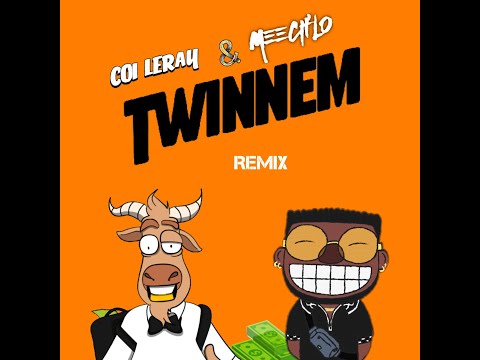 Coi Leray - TWINNEM