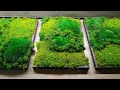 How to create moss frame | Do it yourself | DIY | easy to make | home decoration