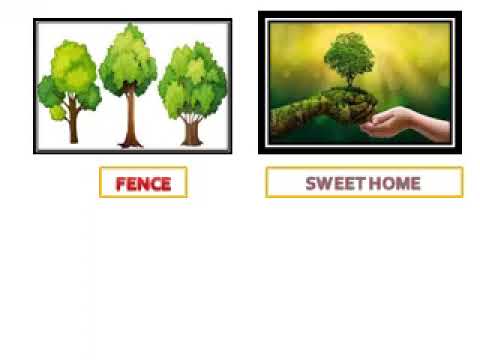 JOYPRESENTATION AA video