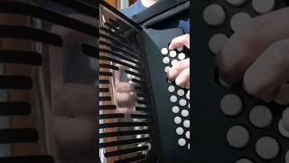 Nido caido - Miguel y Miguel