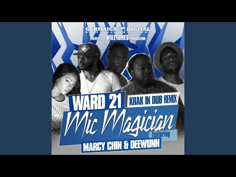 Mic Magician (Krak in Dub Remix)