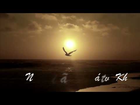 Mắt mẹ tôi - Hùng M Nguyễn