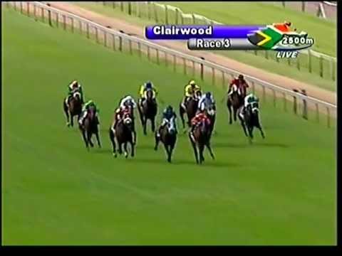2013-03-17 Clairwood - race 3