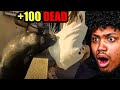 When Animals DONT FEAR HUMANS