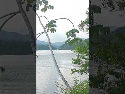 Represa san rafael. Antioquia 