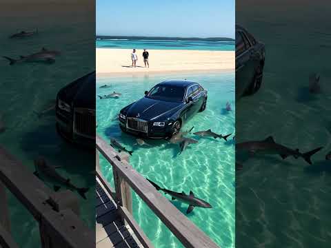 Rolls Royce in the Beach with Sharks 🦈 #rollsroyce #beach #shark #shorts