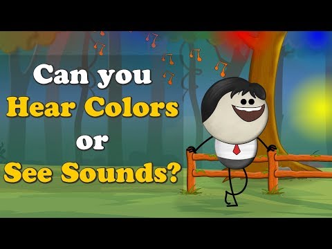 Can you hear the color or see the sound?