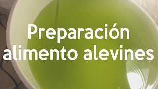 Reproducción de peces payaso - Alimento para los alevines | AcuaTV