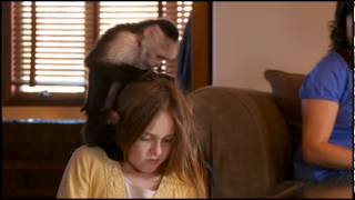 Quit Nits -  Head Lice Help For Parents - NAPS-TV