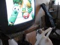 Lucy The Cat Watching Veggie Tales