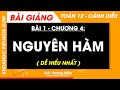 Toán 12 Cánh diều Bài 1: Nguyên hàm