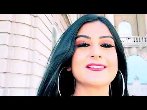 Buda Castle  in Budapest, Hungary.... 2025 