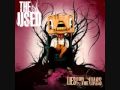 The Used - The Bird And The Worm Lyrics HQ ...