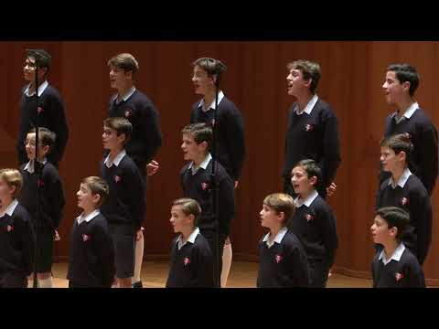 Les Petits Chanteurs à la Croix de Bois - Santiano - Clip officiel