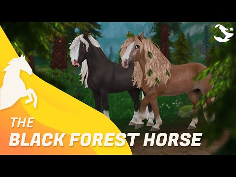 The Black Forest Horse🌲 ✨ | Star Stable Horses