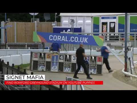 Signet Mafia - 24th July 2020