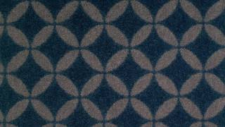 Shackleton - Unemployable