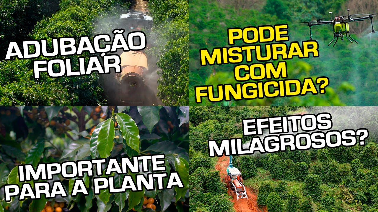 Adubação Foliar | Importante para a Planta | Pode misturar com Fungicida? | Efeitos Milagrosos?