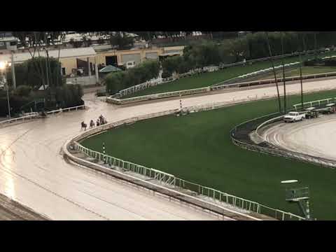 Sparky Ville wins San Vicente Stakes at Santa Anita