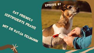Cat Friendly zertifizierte Tierarztpraxis. Mit Dr.Katja Oelmann