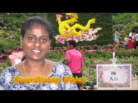 Lygia Birthday Wishes - Dear Lygia (2015)