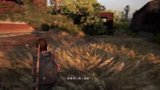【The Last of Us Part 2】# 24いざ地獄の底へ