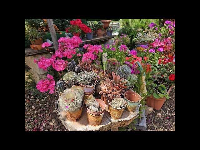 Gli eventi della Settimana della Biodiversità Pugliese 2025: SEMIlasci non vale