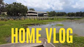 Shopping in Inverness, Florida for Grass Seed and Looking for Alligators!